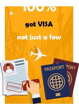 100% got visa